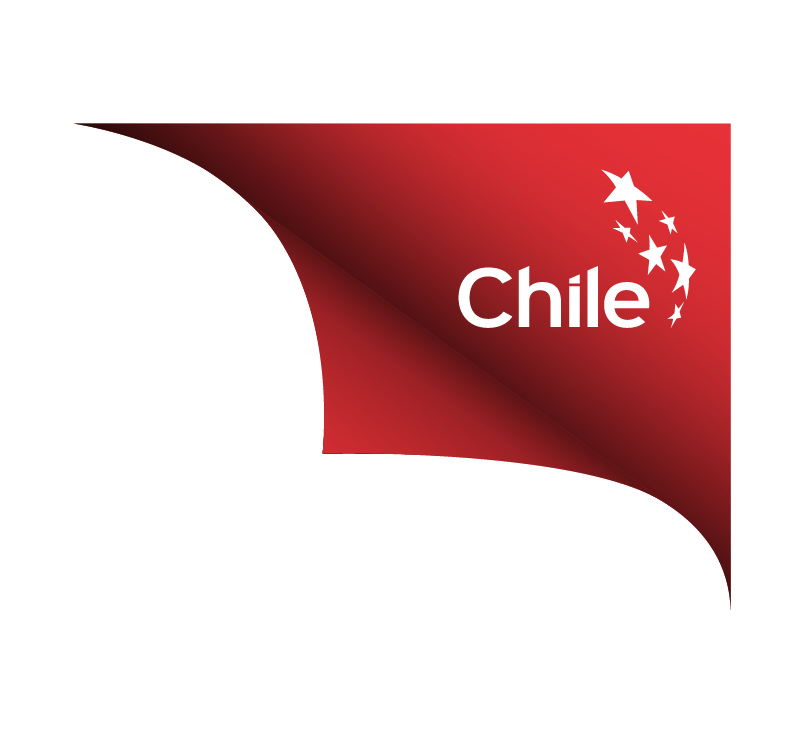 Logo de Marca Chile